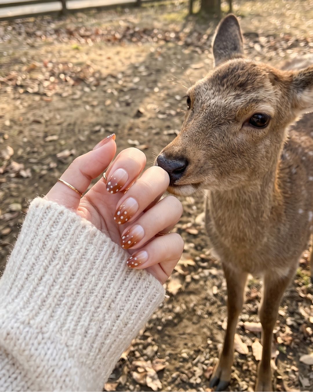 Deer Press ons