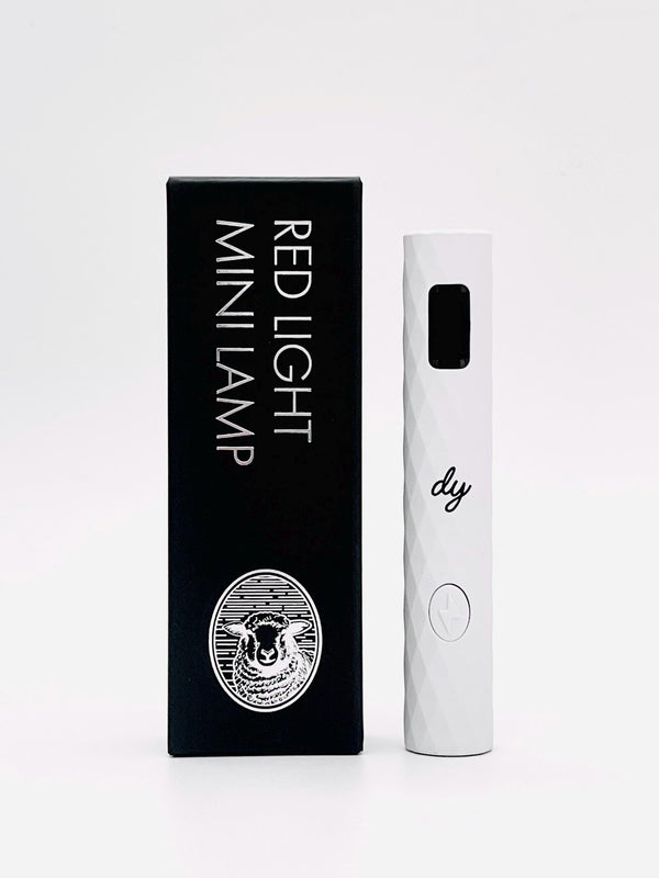 LED Screen Red Light Mini Lamp | for press-on nails